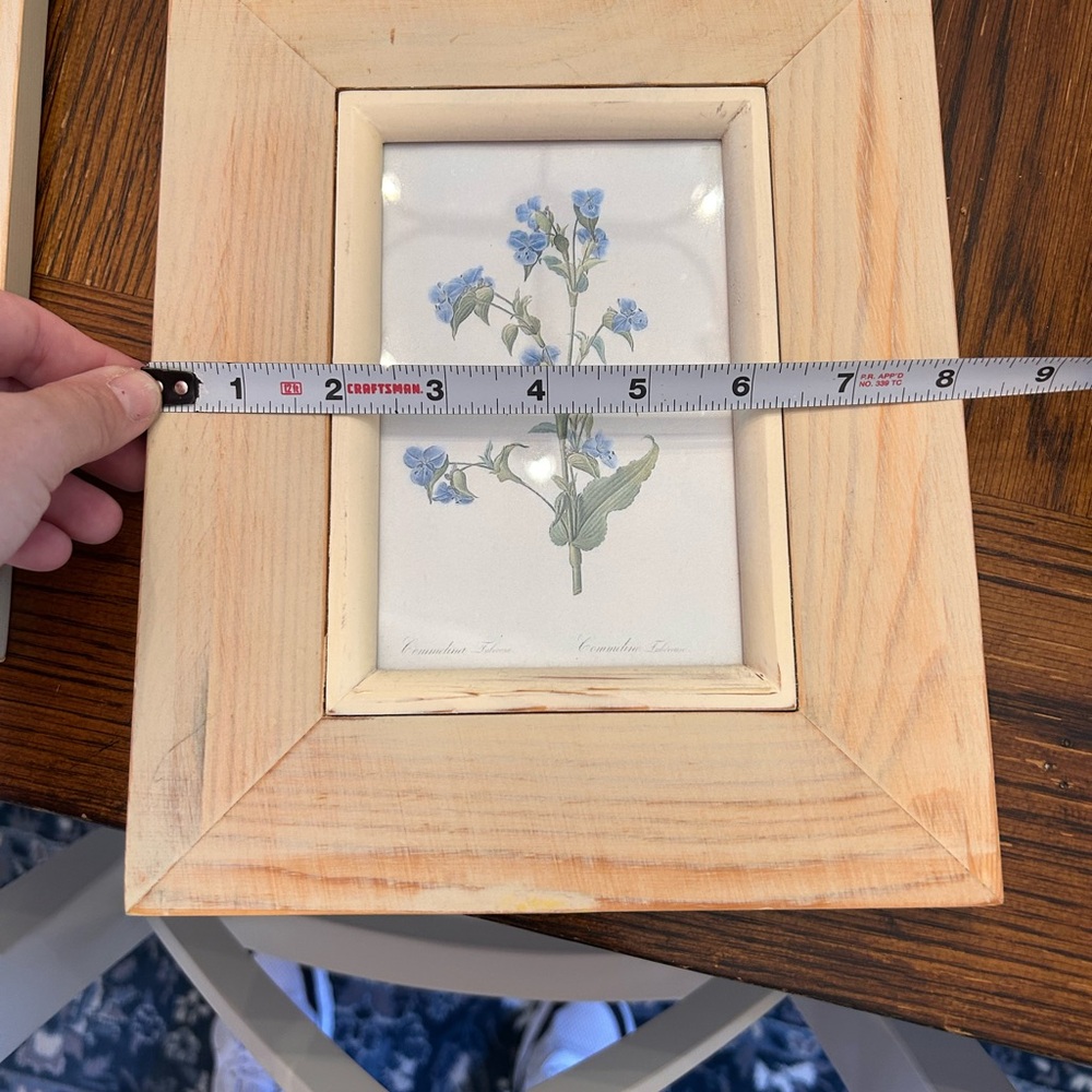 Natural Wood Framed Botanical Prints Set - Picture 2 of 9